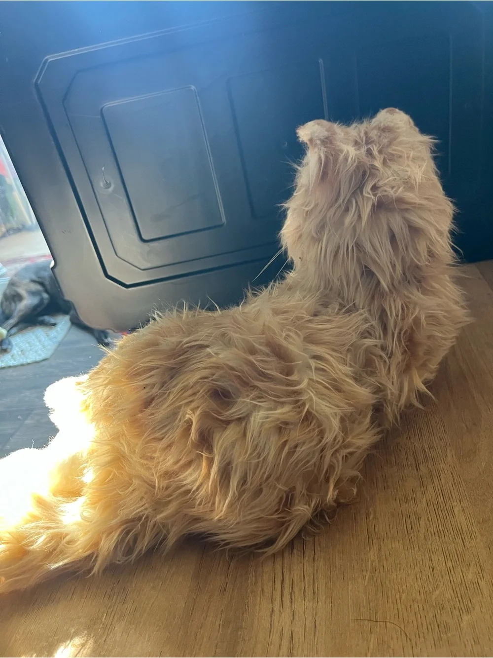 Joy For All Animatronic Interactive Tabby Cat Kitty Comfort Companion Works!